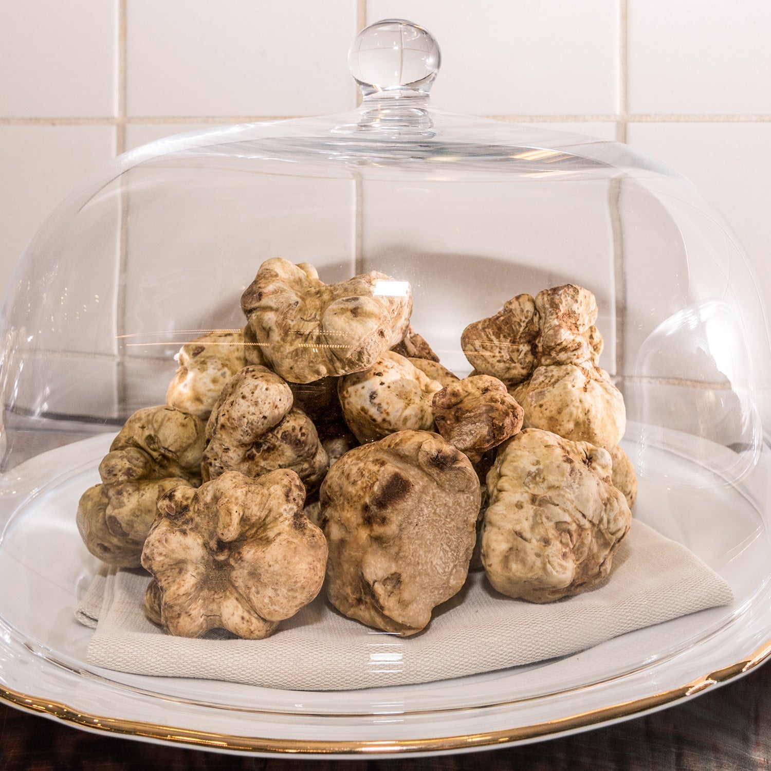 White Truffle - Tuber Magnatum